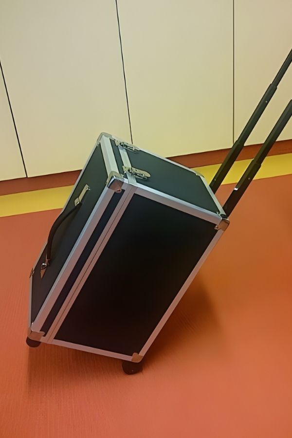 Spike-im-Rollenkoffer